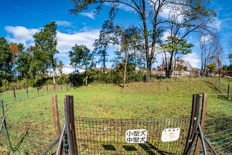ドッグラン03